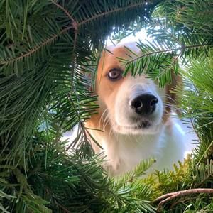 Meet your Posher, Shawna